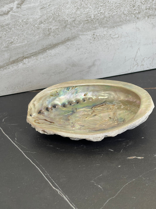 Abalone Shell for Smudging