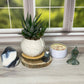 Portland White Cement Globe Planter