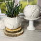 Portland White Cement Globe Planter