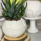 Portland White Cement Globe Planter