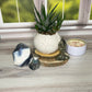 Portland White Cement Globe Planter