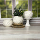 Portland White Cement Globe Planter