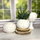 Portland White Cement Globe Planter