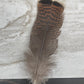 Smudging Feathers