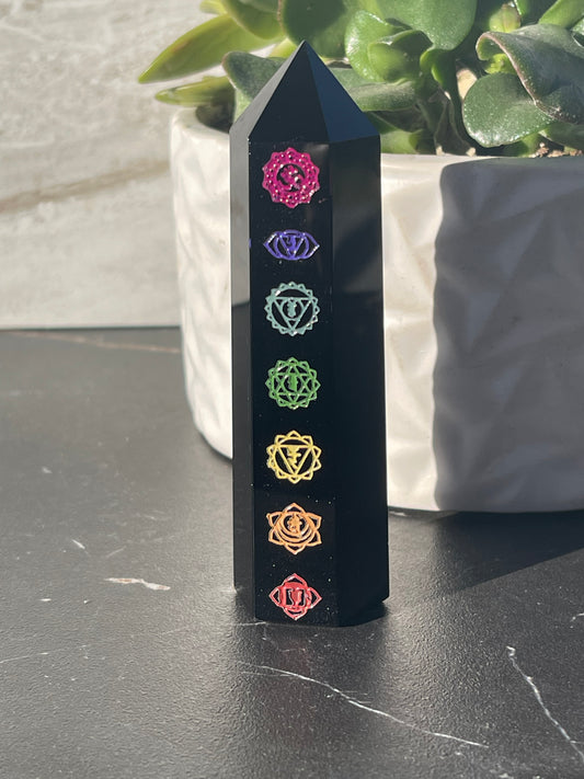 Black Onyx with Chakras