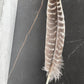 Smudging Feathers