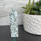 Kiwi Jasper Points
