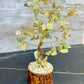 Green Aventurine Meditation Feng Shui Tree of Purification